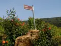 Weingut Schwörer in Kippenheim-Schmieheim Weingut Schwörer in Kippenheim-Schmieheim
